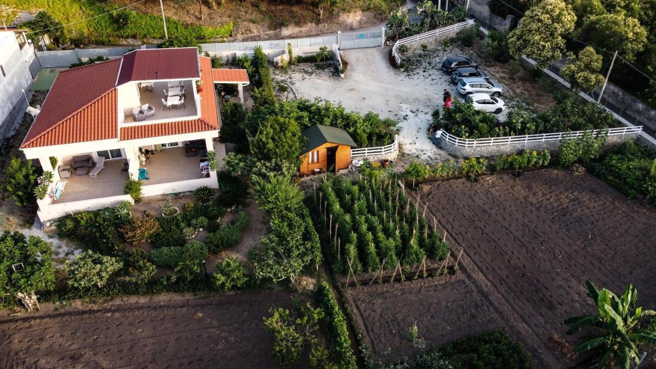 Michelino House Bed & Breakfast Паргелия Екстериор снимка