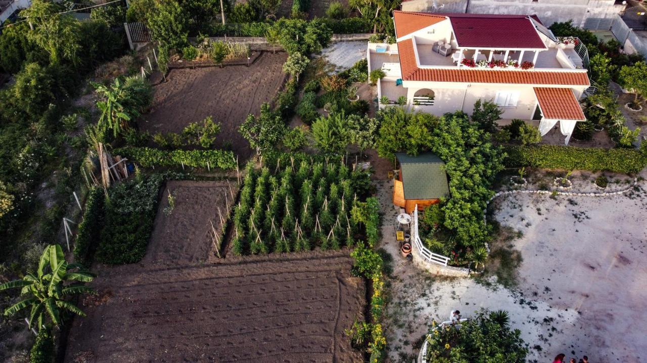 Michelino House Bed & Breakfast Паргелия Екстериор снимка
